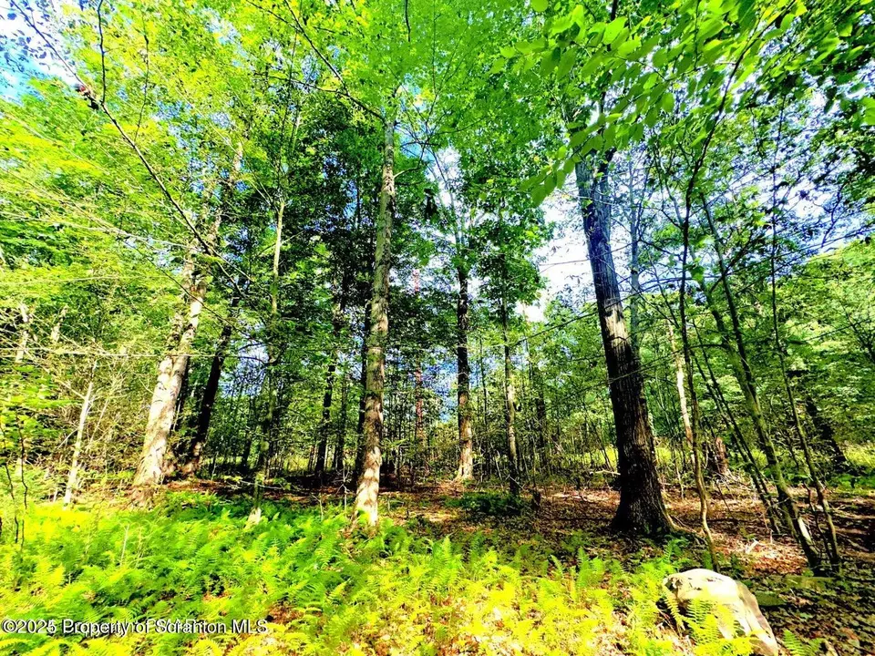  21-24 Ridge Rd, Pocono Lake, PA 18347 photo 1
