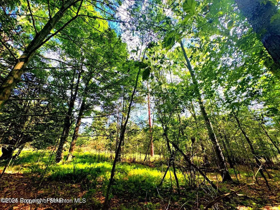  21-24 Ridge Rd, Pocono Lake, PA 18347 photo 8