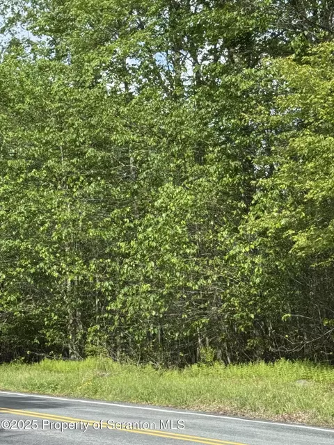 lot15 Jubilee, Covington Twp, PA 18444