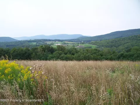 161 Middle Mountain Dr, Factoryville, PA 18419