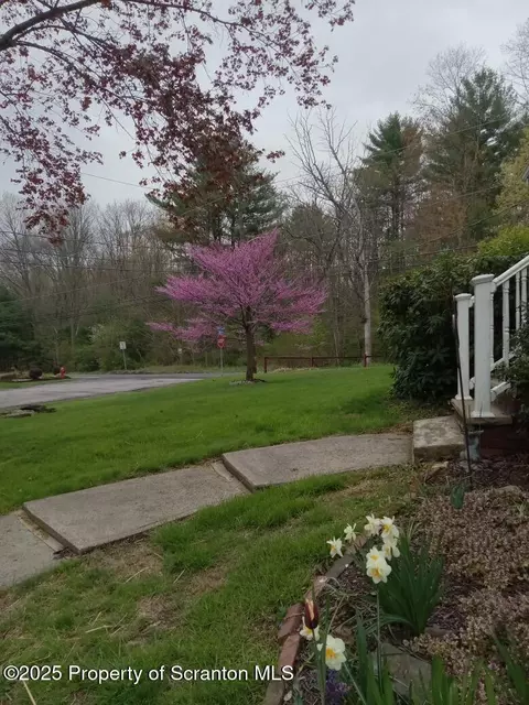 Exterior - 347 Terrace Ave, Shavertown, PA 18708 photo 4 of 16