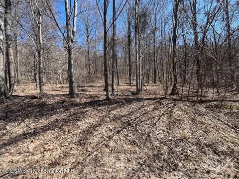 lot37 Johnson Hill Rd, Carbondale, PA 18407