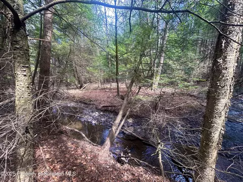 Hack Road, Dalton, PA 18414 photo 3