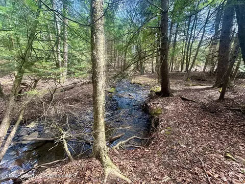Hack Road, Dalton, PA 18414 photo 4