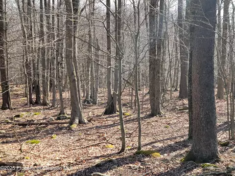 lot17 Navajo Path, Gouldsboro, PA 18424