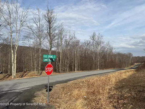 lot61 Summit Woods Rd, Roaring Brook Twp, PA 18444