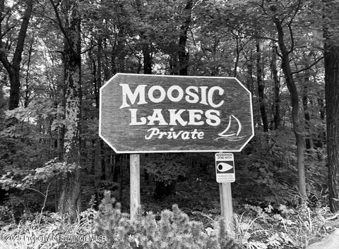 Little Lake Road, Jefferson Twp, PA 18436