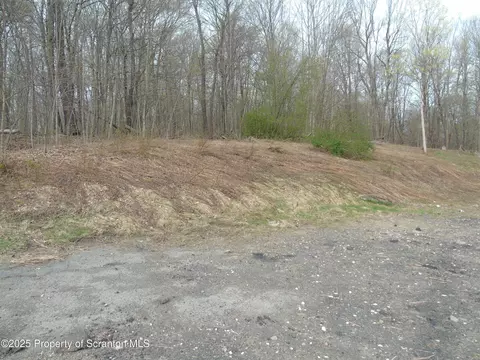 Rte 435, Covington Twp, PA 18424