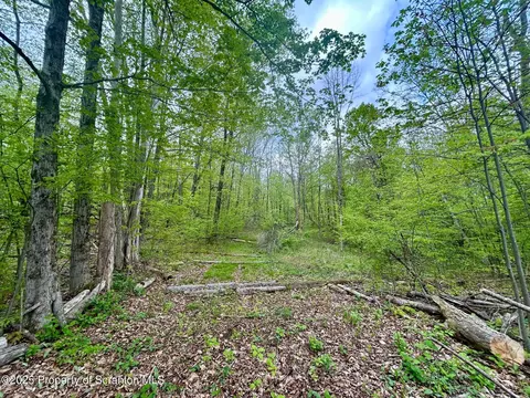 0 Maile Rd, Greenfield Township, PA 18407