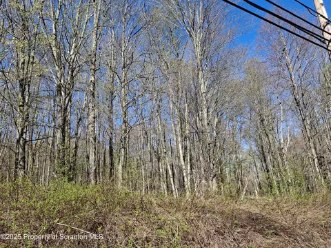 lot7 Damiano Dr, Covington Twp, PA 18424