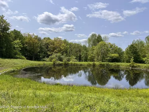 809 Thorn Hill Rd, Thompson, PA 18465