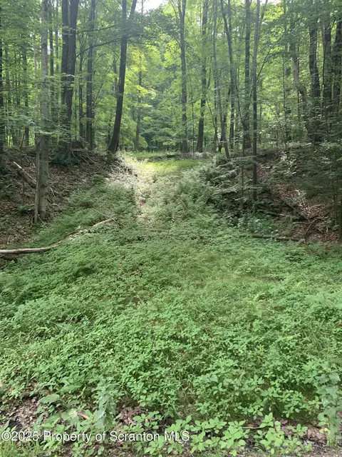 0 Butterfield Rd, New Milford, PA 18834