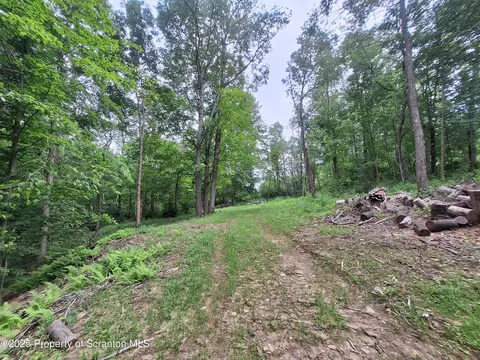 Ackerly Rd, Scott Twp, PA 18411 photo 5