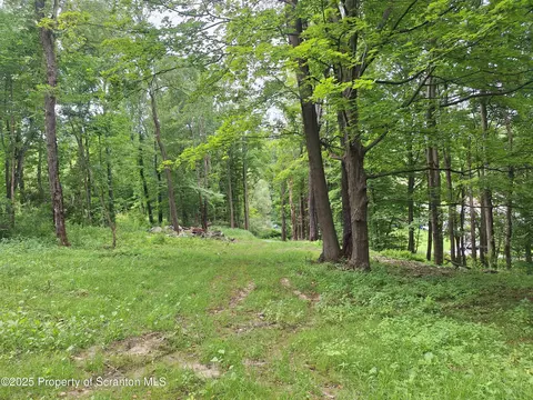 Ackerly Rd, Scott Twp, PA 18411 photo 8