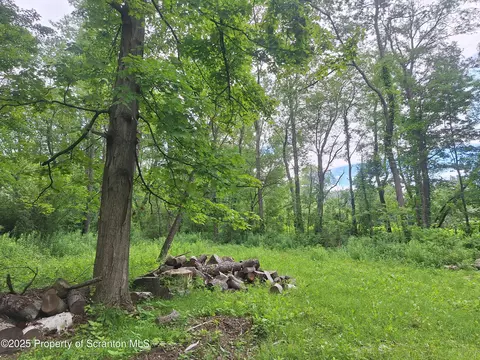 Ackerly Rd, Scott Twp, PA 18411
