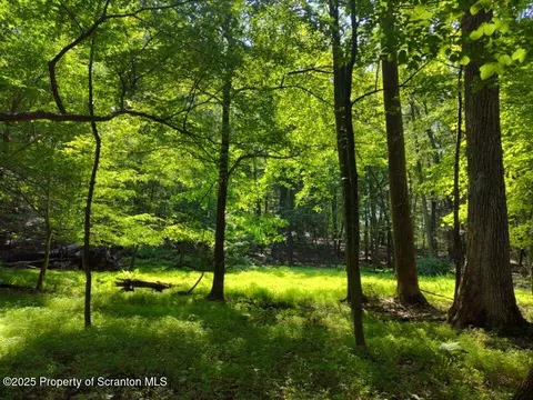Williamson Dr, Middle Smithfield Twp, PA 18302
