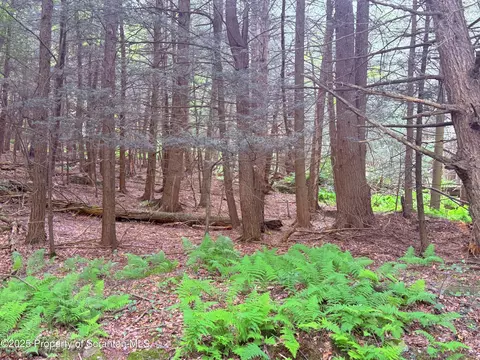 Campsite Road, Thompson, PA 18465