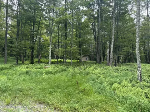 Wilcox Road, Meshoppen, PA 18630