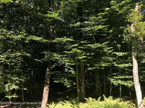 1128 East Creek View Drive, Clifton Twp, PA 18424