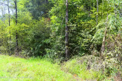 Jackson Valley Road, Little Meadows, PA 18830