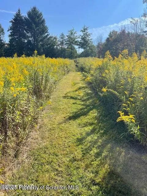 641 Spring Hill Rd, Moscow, PA 18444