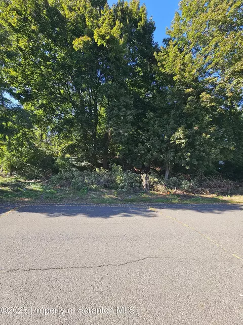 Colfax Ave Lot 2, Scranton, PA 18510