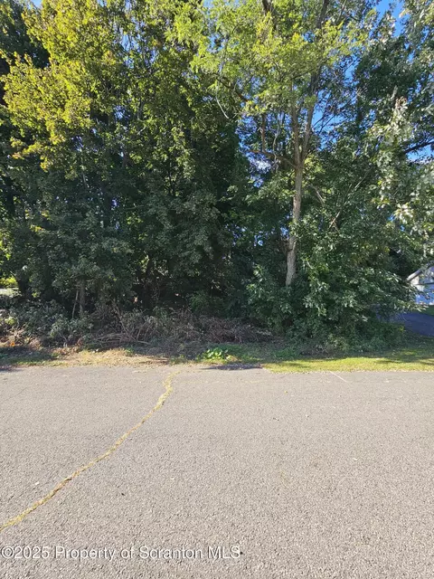 Colfax Ave Lot 1, Scranton, PA 18510
