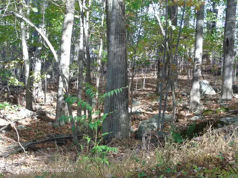 Deer Run, Spring Brook Twp, PA 18444