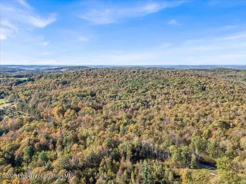 1573 Cork Hill Rd, Brackney, PA 18812