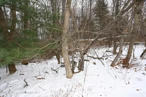 0 E Ave, Brackney, PA 18812 photo 4