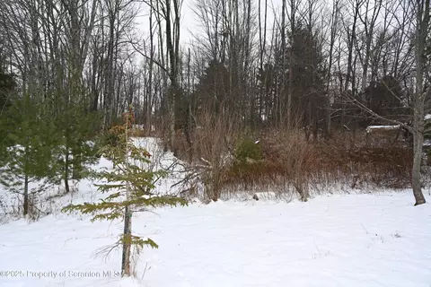 0 E Ave, Brackney, PA 18812 photo 3