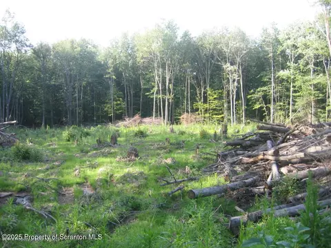T 446, Scott Twp, PA 18447