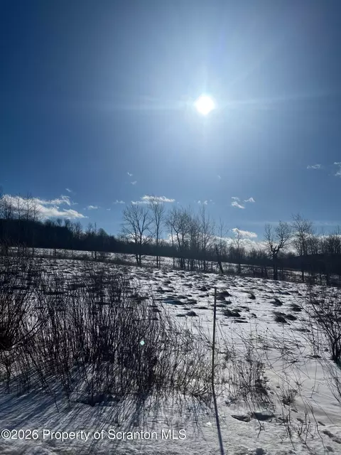 Hickory Hill Road, Starrucca, PA 18462
