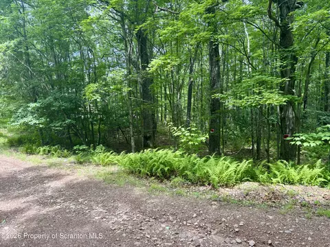 Forest Lane, Archbald, PA 18403