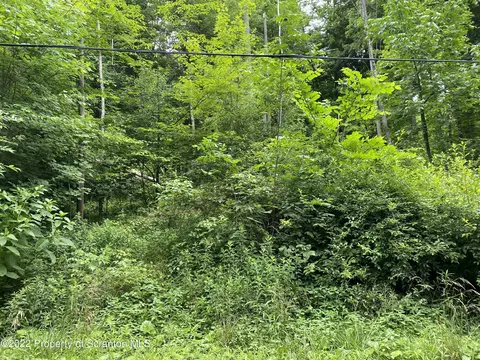 Griffin Pond Road, South Abington Twp, PA 18411