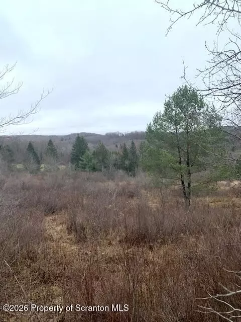 Jackson Valley Road, Little Meadows, PA 18830