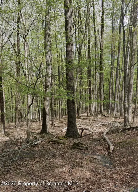 Tiffany Road, Hawley, PA 18428