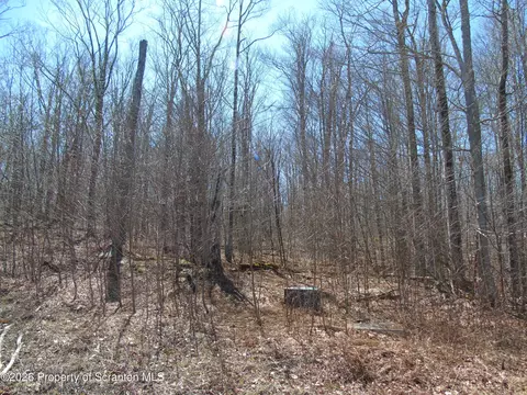 145 Summit Woods Rd, Roaring Brook Twp, PA 18444