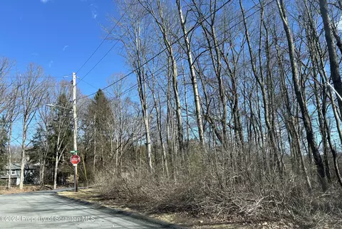 Virginia Avenue, Blakely, PA 18452