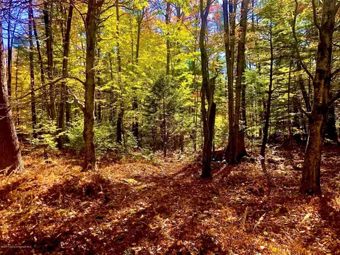 36 Kimberly Cir, Thornhurst, PA 18424