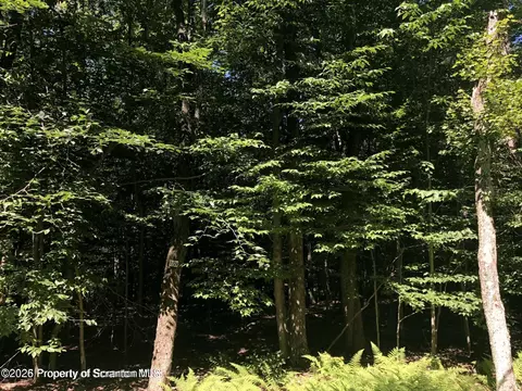 1128 East Creek View Drive, Clifton Twp, PA 18424