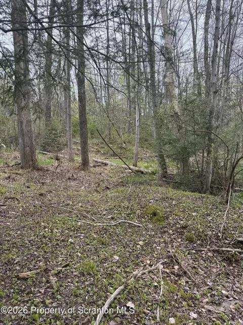 502 Rear, Covington Twp, PA 18444