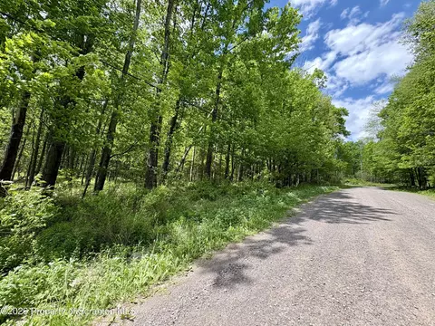 Marys Lane, Spring Brook Twp, PA 18444