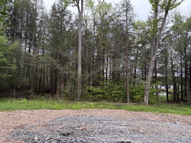 Grouse Hill Road, Greenfield Township, PA 18407