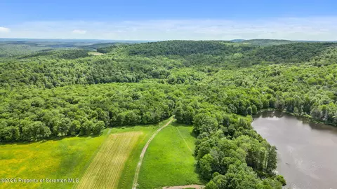 Skinny Dip Lane, Pleasant Mount, PA 18453