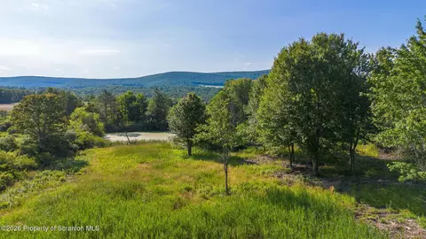 Newton Ransom Boulevard, Newton Twp, PA 18411