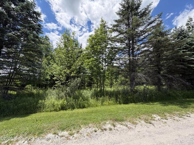 Mountain Drive, Thompson, PA 18465
