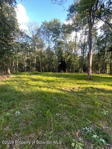 Bentler Road, Clifton Twp, PA 18424