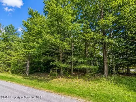 Hitchcock Road, Jefferson Twp, PA 18436