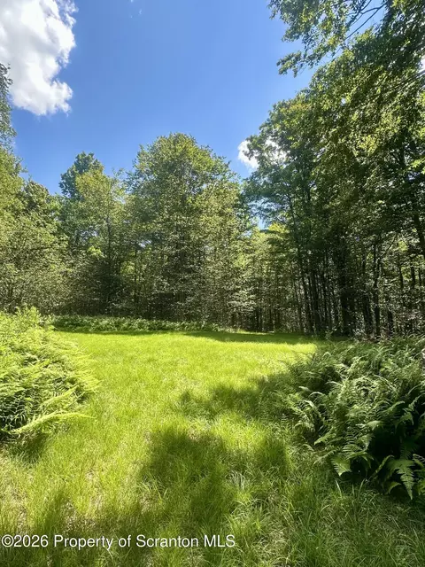 White Rock Drive, Forest City, PA 18421